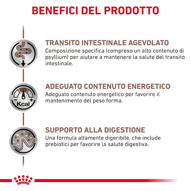 Royal Canin Gastrointestinal Fibre Response - Alimento umido per Gatto 12x85gr Royal Canin Gastrointestinal Fibre Response - Alimento umido per Gatto 12x85gr
